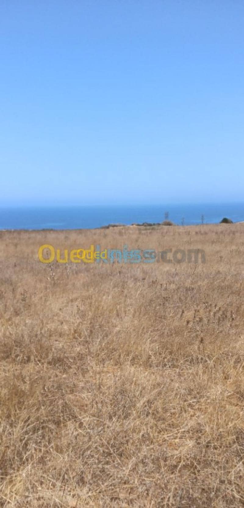 Vente Terrain Tlemcen Bab el assa 2