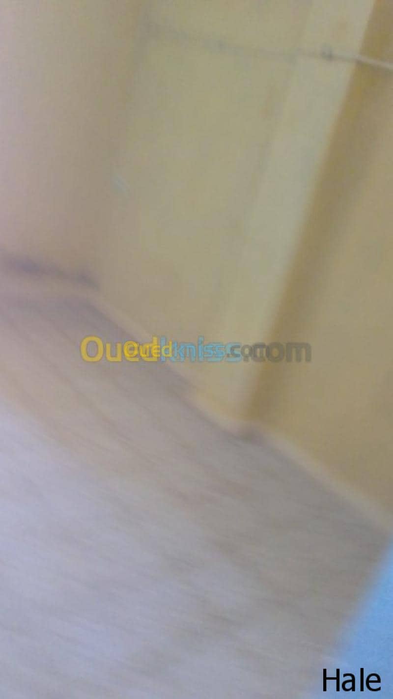 Location Appartement F2 Biskra Biskra 3