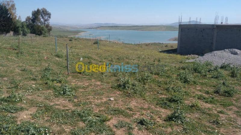 Vente Terrain Mila Sidi khelifa 2