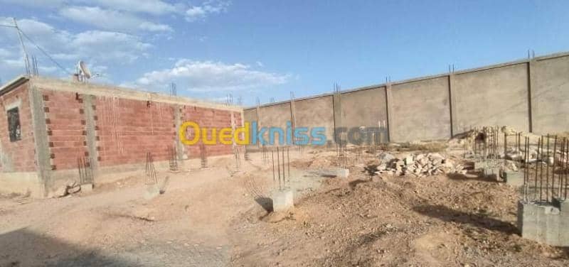 Vente Terrain Tebessa Hammamet 2