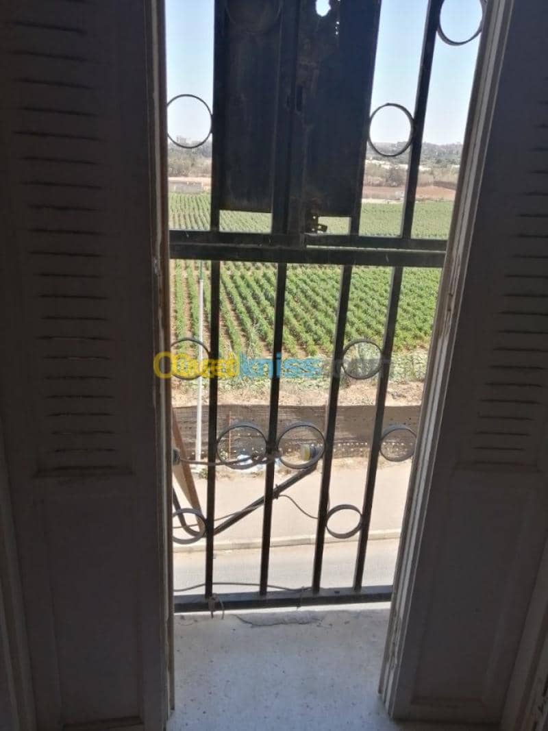 Vente Appartement F3 Tipaza Kolea 4