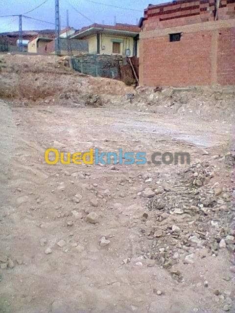 Vente Terrain Batna Teniet el abed
