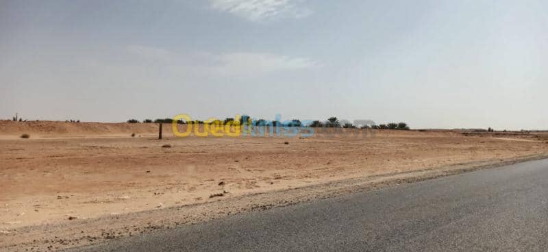 Vente Terrain Agricole El oued El mghair 5