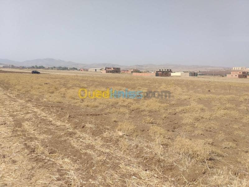 Vente Terrain Chlef Harchoun 2