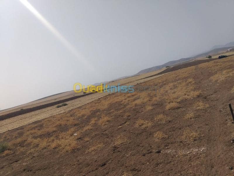 Vente Terrain Chlef Harchoun 3
