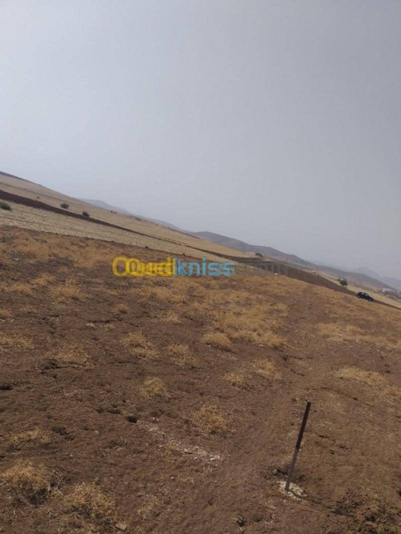 Vente Terrain Chlef Harchoun 4