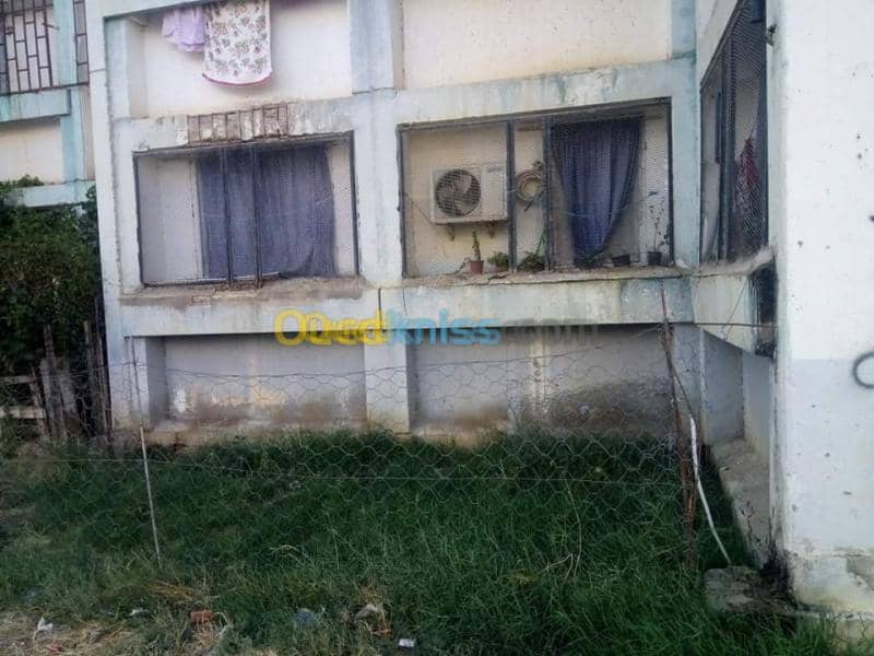 Vente Appartement F3 El taref Drean 3