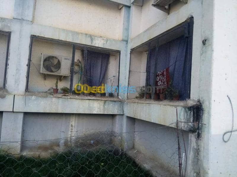 Vente Appartement F3 El taref Drean 4