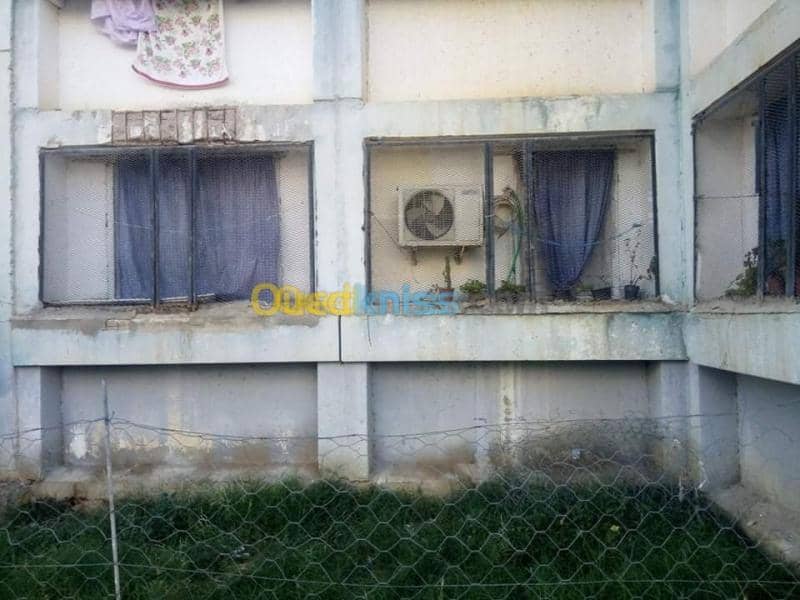 Vente Appartement F3 El taref Drean 5
