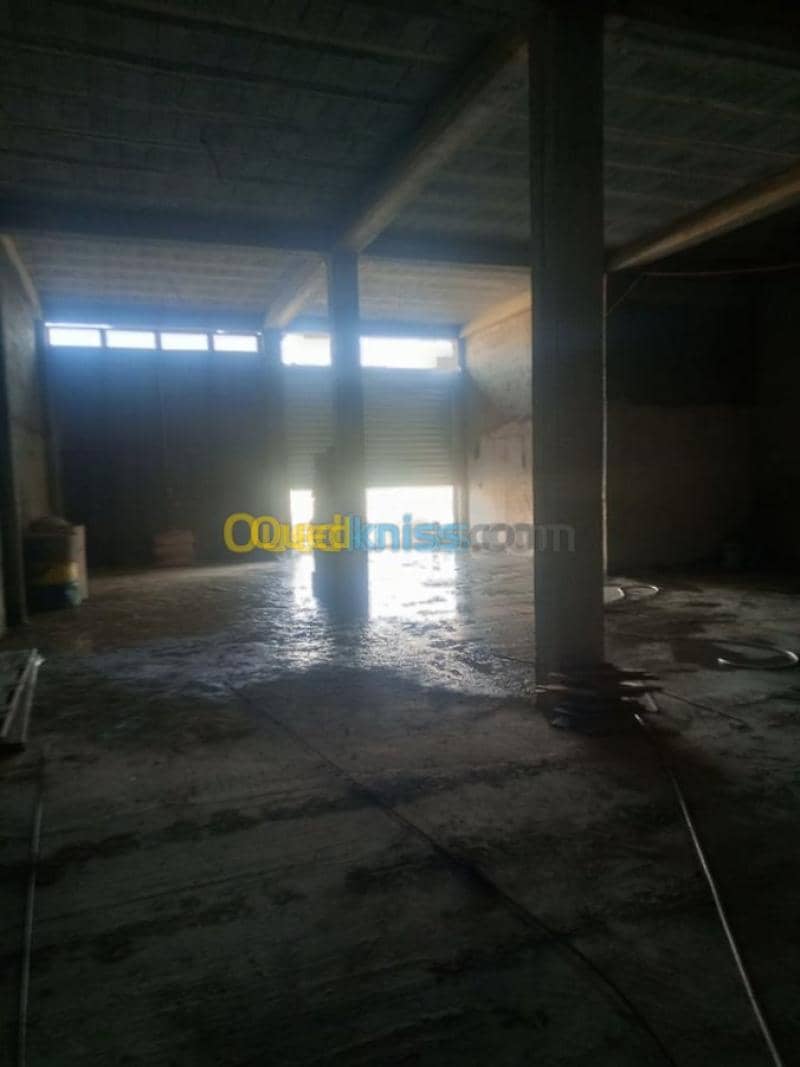 Location bien immobilier Mila Chelghoum laid 4