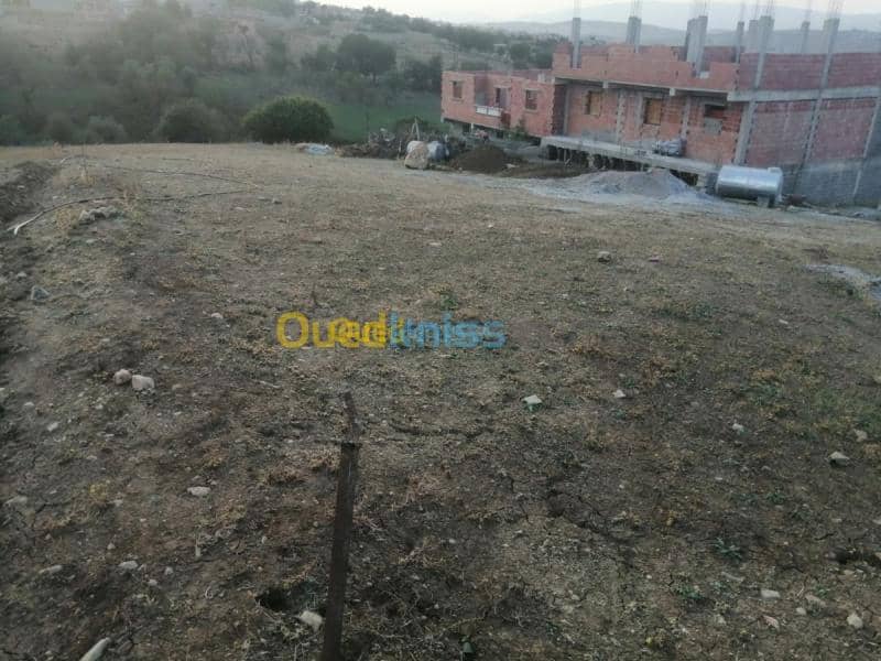 Vente Terrain Mila Mila 4