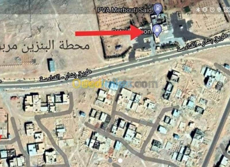 Vente Terrain Bechar Bechar