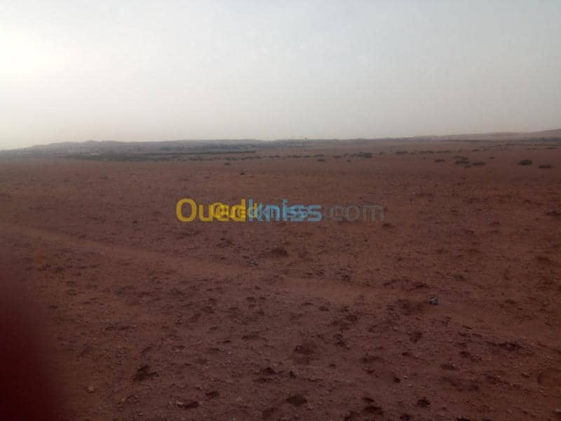 Vente Terrain Djelfa Birine 2