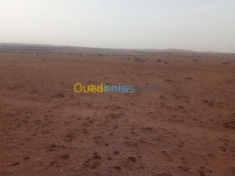 Vente Terrain Djelfa Birine