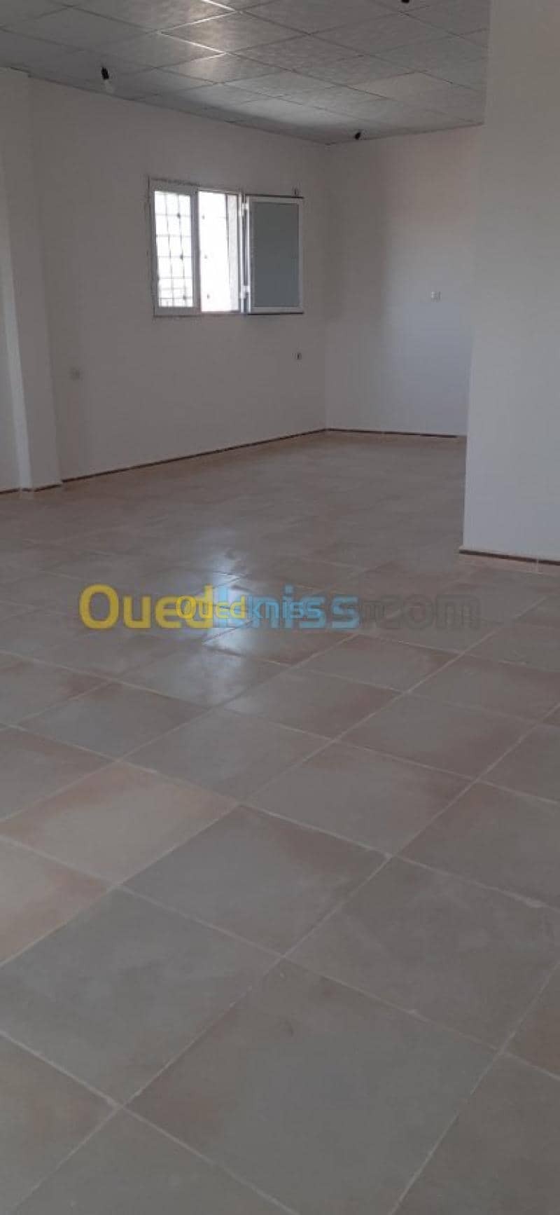 Location Studio Ouargla Touggourt 16
