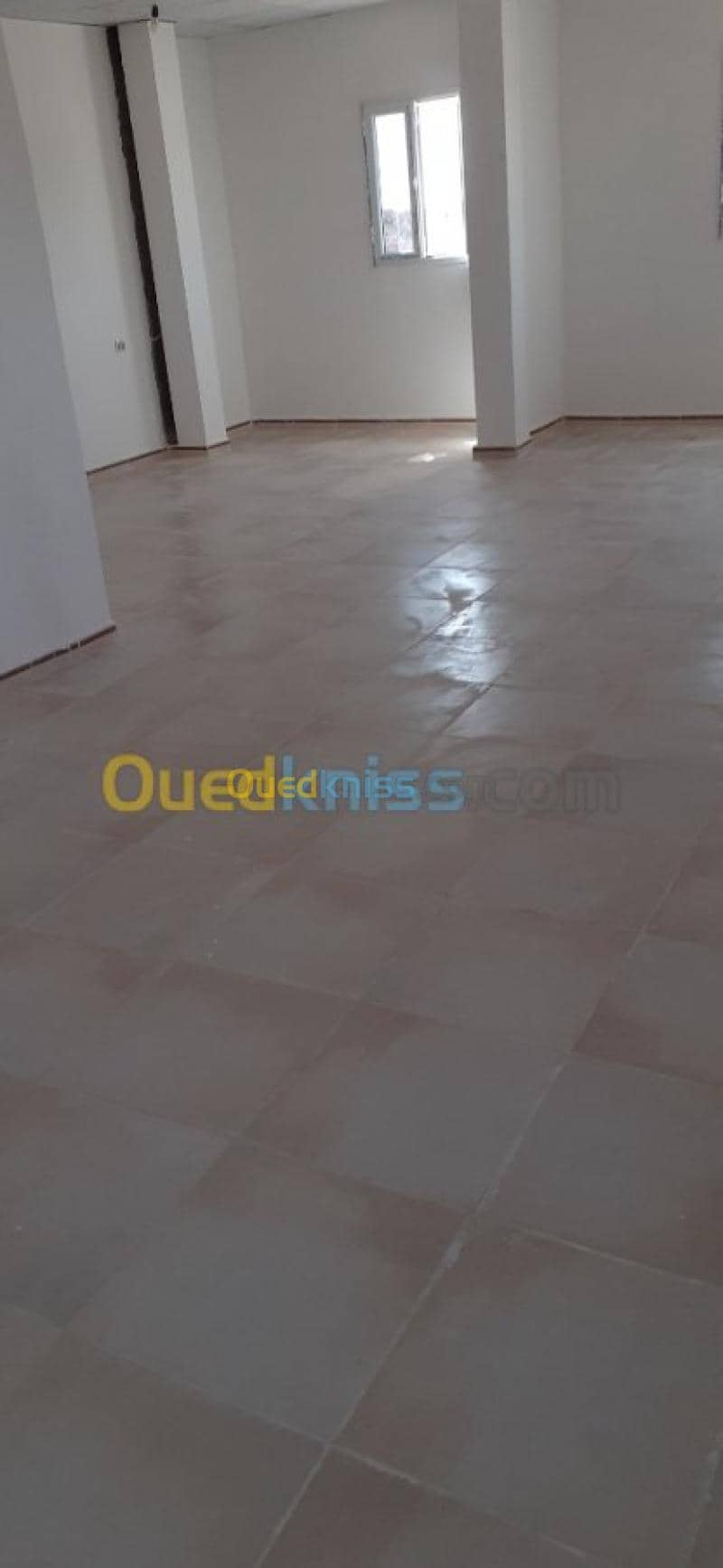 Location Studio Ouargla Touggourt 18