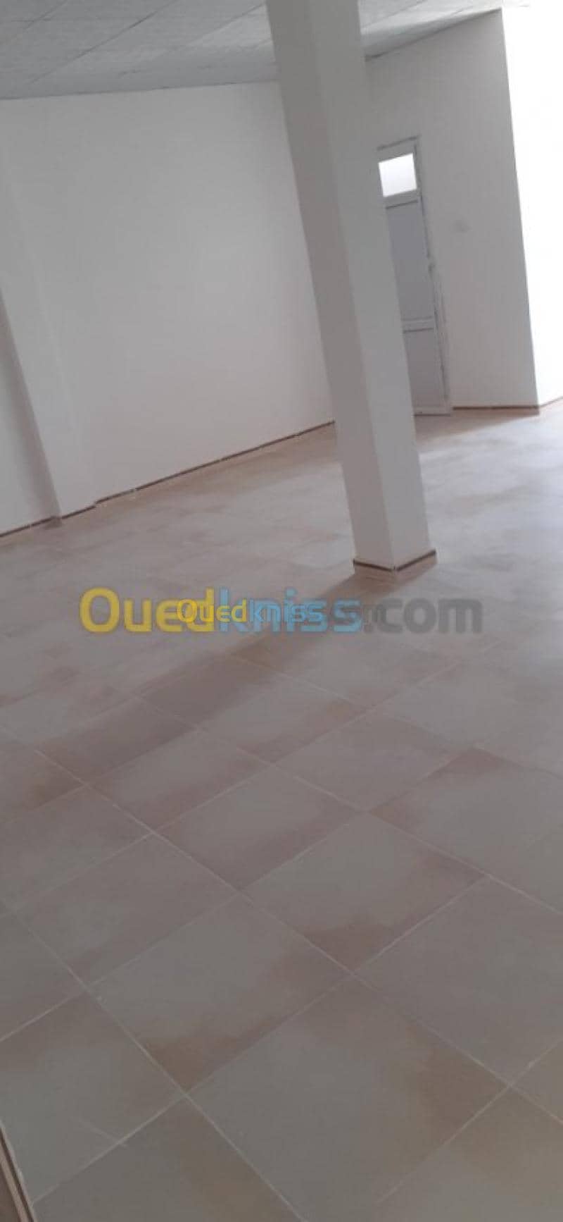 Location Studio Ouargla Touggourt 29
