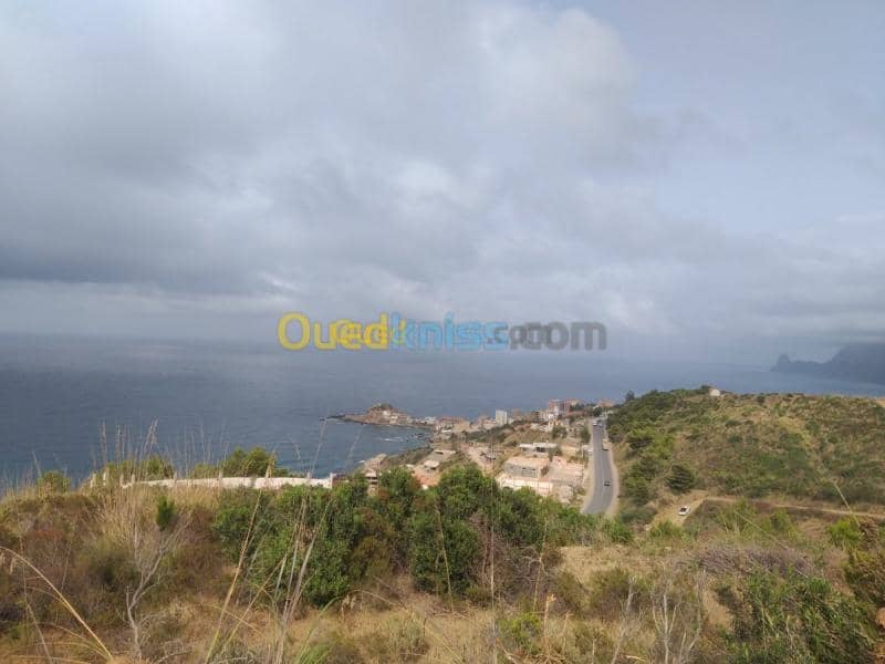 Vente Terrain Bejaia Bejaia 3