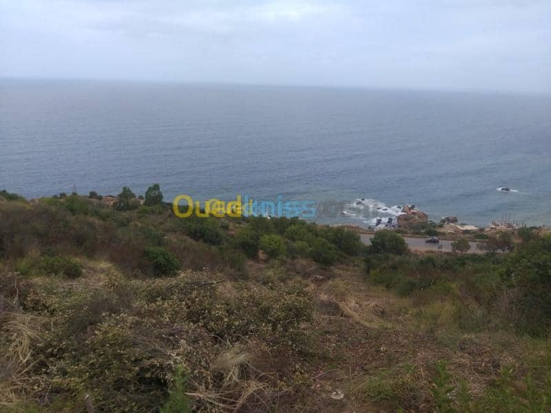Vente Terrain Bejaia Bejaia 4