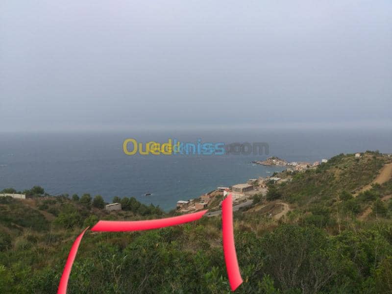 Vente Terrain Bejaia Bejaia 5