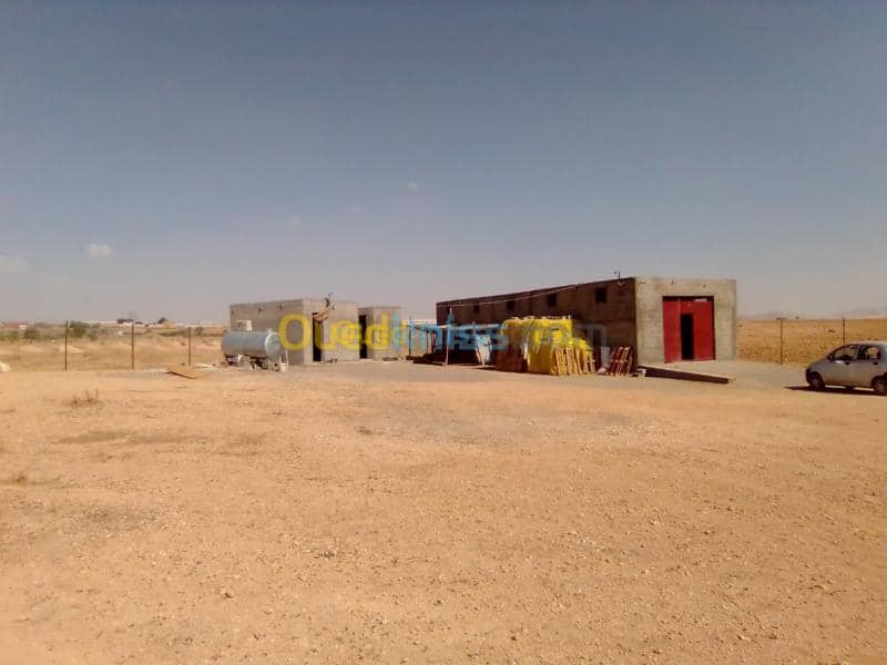 Vente Terrain Setif Guidjel 2