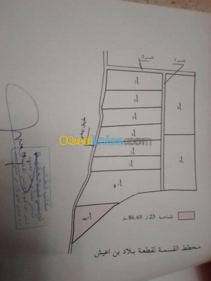 Vente Terrain Setif Guidjel 3