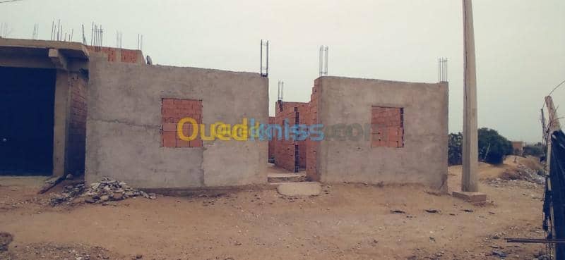 Vente Terrain Relizane Belassel bouzegza 4