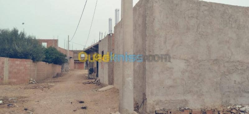 Vente Terrain Relizane Belassel bouzegza 5