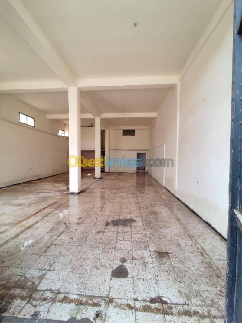 Location Local Tipaza Chaiba 7