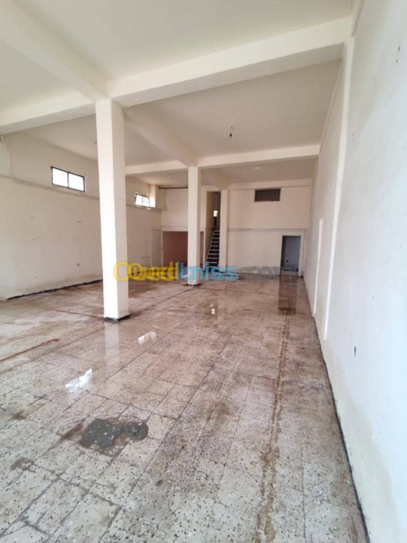 Location Local Tipaza Chaiba 8