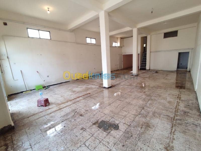 Location Local Tipaza Chaiba 9