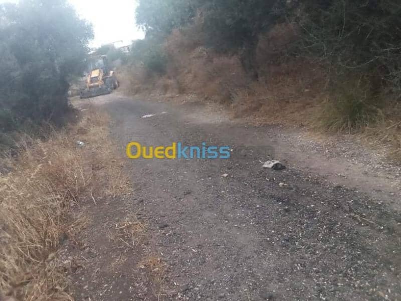 Vente Terrain Guelma Guelma