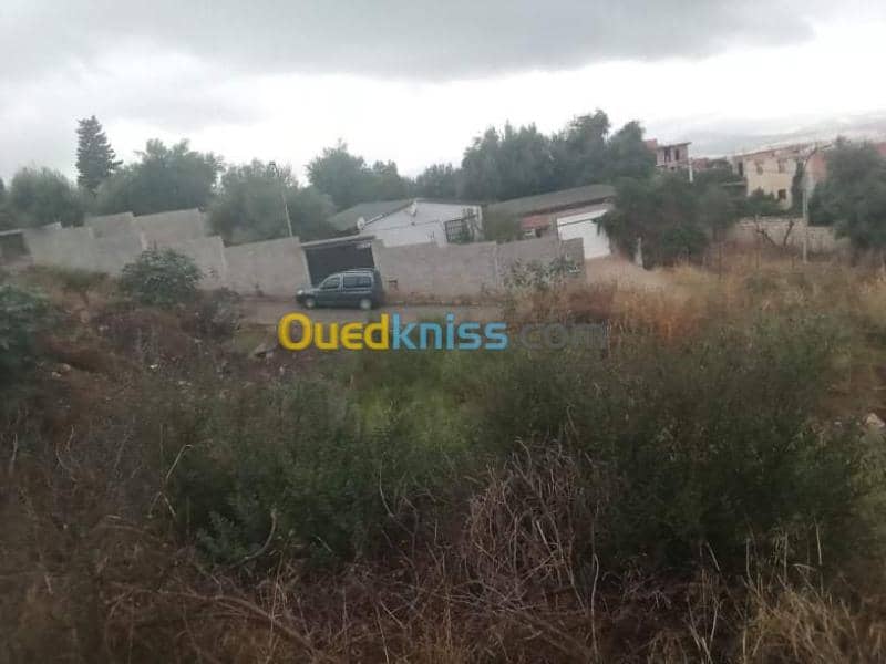 Vente Terrain Guelma Guelma 2