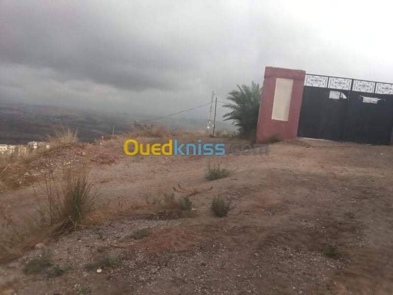 Vente Terrain Guelma Guelma 6