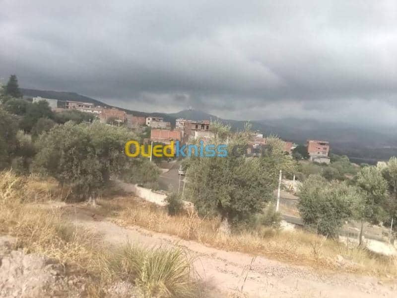 Vente Terrain Guelma Guelma 7