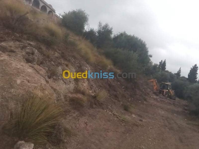 Vente Terrain Guelma Guelma 8