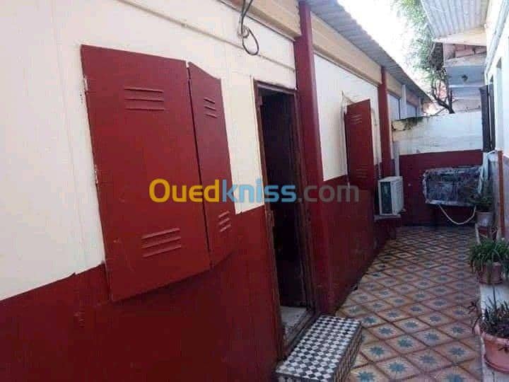 Vente Carcasse Chlef Chlef 3