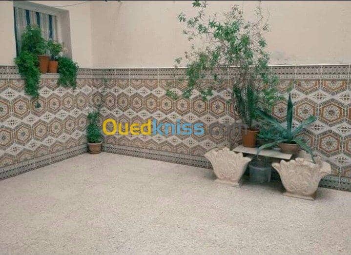 Vente Appartement F10 Tebessa Cheria 5