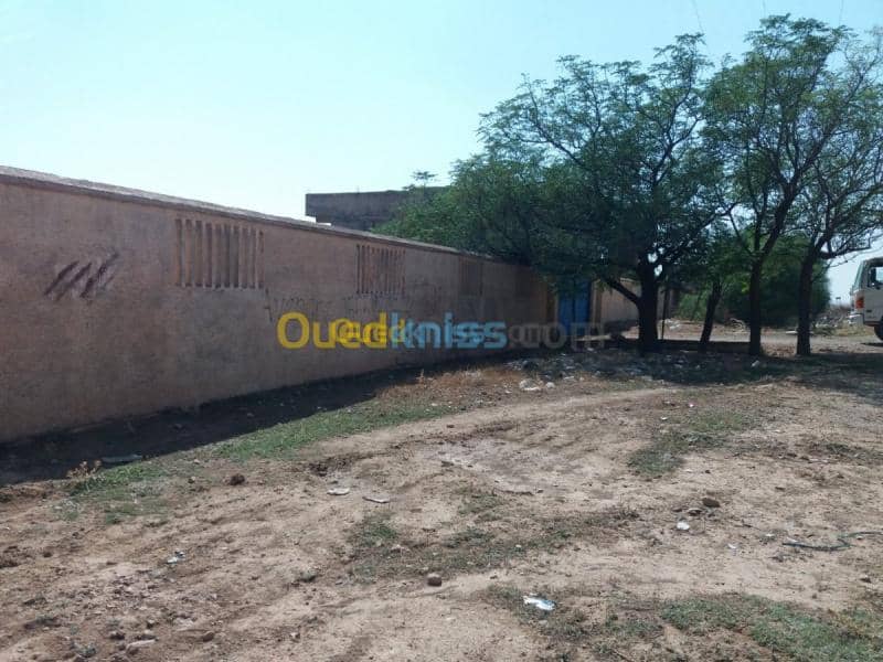 Vente Terrain Oum el bouaghi Oum el bouaghi 7