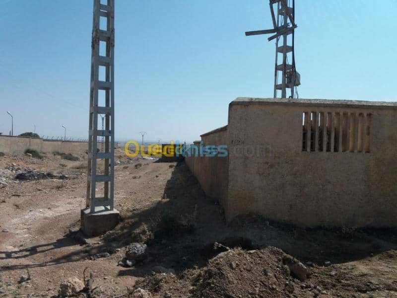 Vente Terrain Oum el bouaghi Oum el bouaghi 8