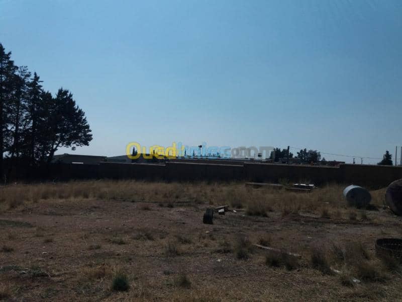 Vente Terrain Oum el bouaghi Oum el bouaghi 2