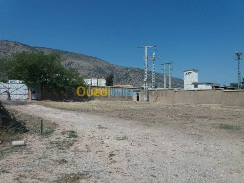 Vente Terrain Oum el bouaghi Oum el bouaghi 4