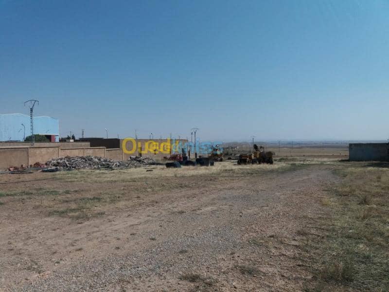 Vente Terrain Oum el bouaghi Oum el bouaghi 5