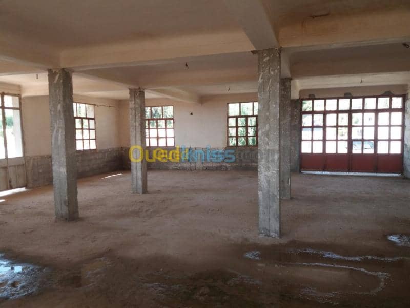 Vente Terrain Oum el bouaghi Oum el bouaghi 6