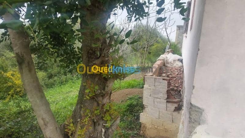 Vente Carcasse Blida Blida 2