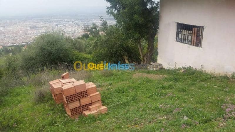 Vente Carcasse Blida Blida 4