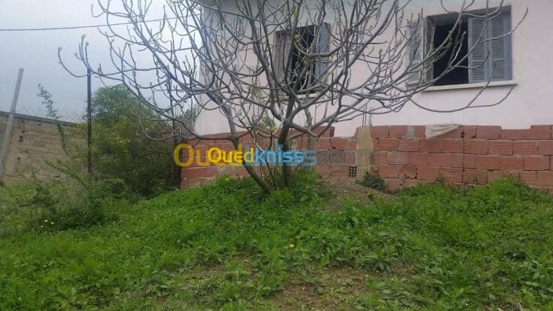 Vente Carcasse Blida Blida 6