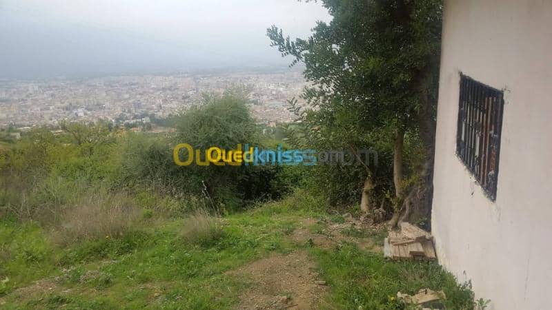 Vente Carcasse Blida Blida 8