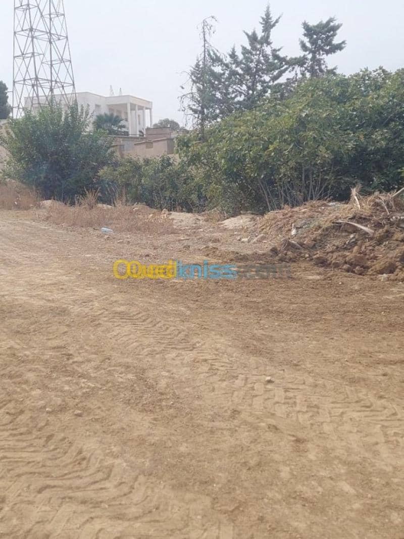 Vente Terrain Tlemcen Tlemcen 4