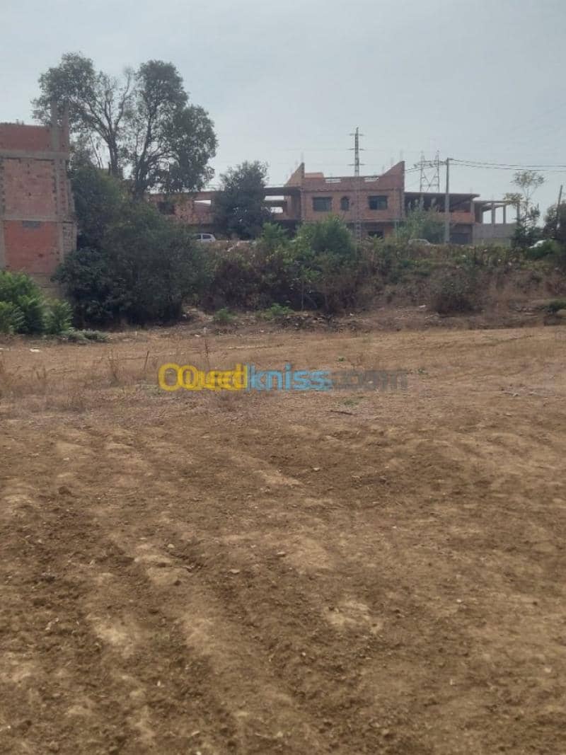 Vente Terrain Tlemcen Tlemcen 5